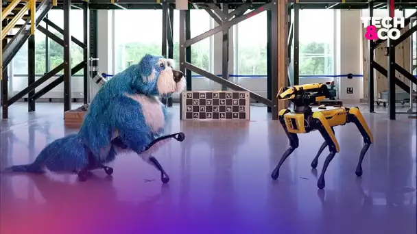 Boston Dynamics: avec ce costume, le chien Spot n’a jamais été aussi réel et adorable