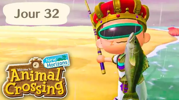 Jour 32 | L'Île de l'Humour ! | Animal Crossing : New Horizons