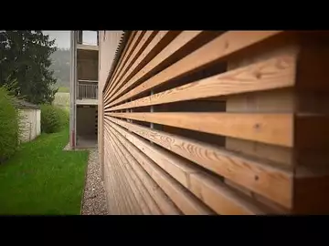 Quelles espèces d'arbre trouvons-nous dans les Alpes, quelle est leur utilisation ?