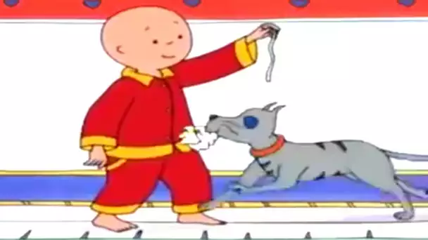 Caillou FRANÇAIS - Caillou entraîne Gilbert | COMPILATION DE 4 HEURES | dessin animé pour bébé