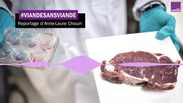 La viande de culture : alternative ou aberration ?