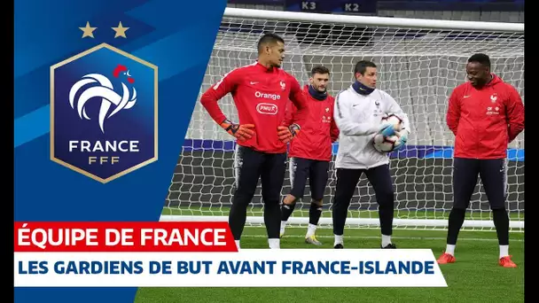 Spécifique gardiens de but avant France-Islande, Equipe de France I FFF 2019