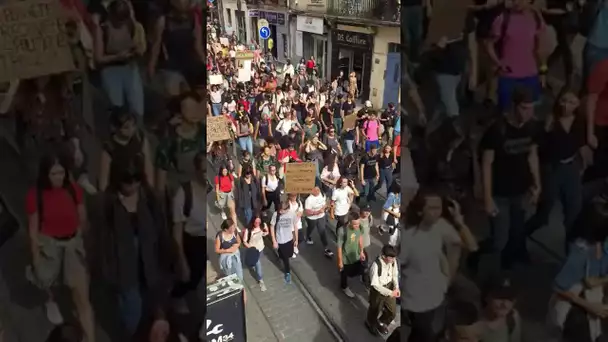 Montpellier : 500 jeunes et lycéens marchent pour le climat