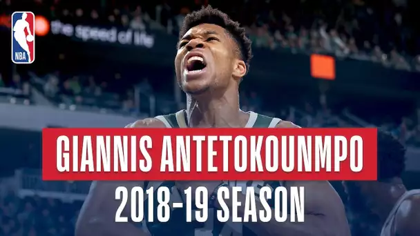 Giannis Antetokounmpo's Best Plays From the 2018-2019 NBA Regular Season