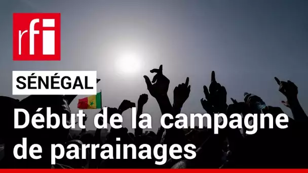 Présidentielle au Sénégal : c'est parti pour la campagne des parrainages • RFI