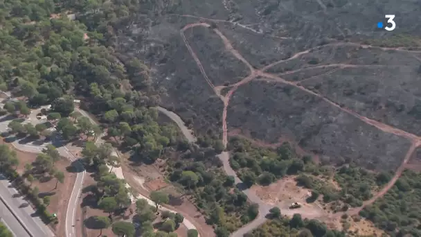 Incendie dans le Var : les dégâts vus du ciel ce samedi 21 août