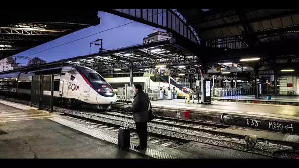 Transport : la SNCF veut produire de grands volumes d'électricité solaire pour faire rouler ses TGV