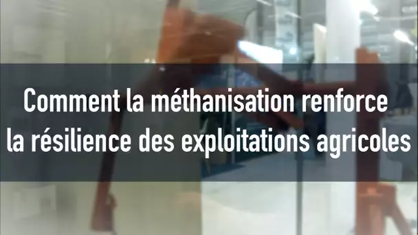 « La résilience d'une exploitation agricole augmente avec une unité de méthanisation »