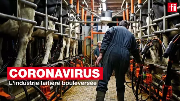 Coronavirus : l'industrie laitière bouleversée