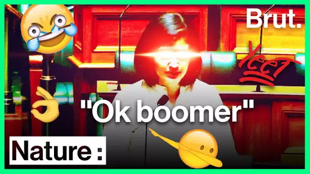 Interrompue par un parlementaire plus âgé, elle répond "Ok boomer !"