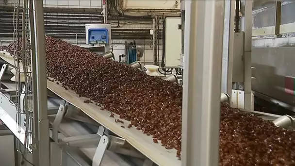 Comment fabrique-t-on des "Chocapic Bio" ?