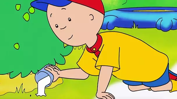 Caillou l'apprenti Jardinier | Caillou en Français