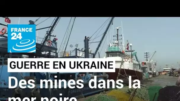 Mines à la dérive dans la mer Noire : la crainte des pêcheurs turcs • FRANCE 24