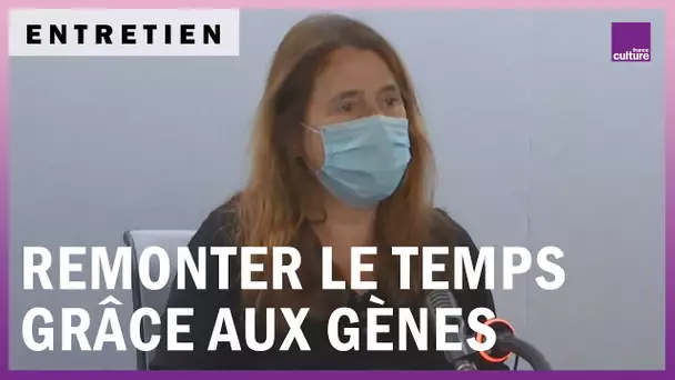 Les gènes, une machine à remonter le temps