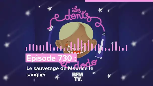 Les dents et dodo - “Épisode 730 : Le sauvetage de Maurice le sanglier”