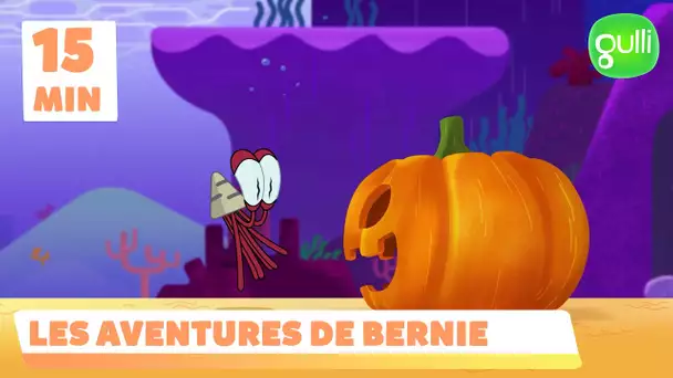 Les aventures de Bernie - Compilation épisodes 13, 14 et 15 (épisodes en entier)
