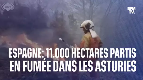 11.000 hectares partis en fumée dans la région des Asturies en Espagne