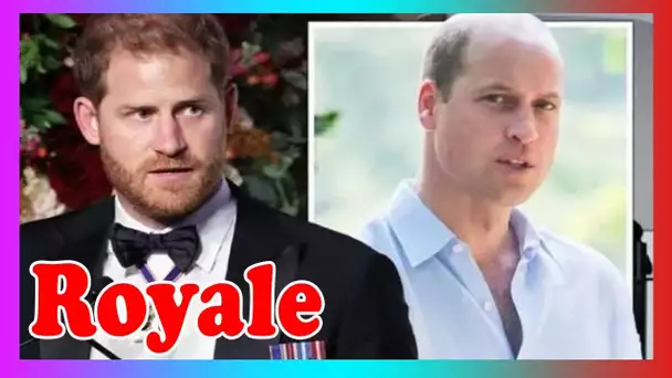 Mémoires du prince Harry: Duke ''en a marre'' William ''a toujours mieux''