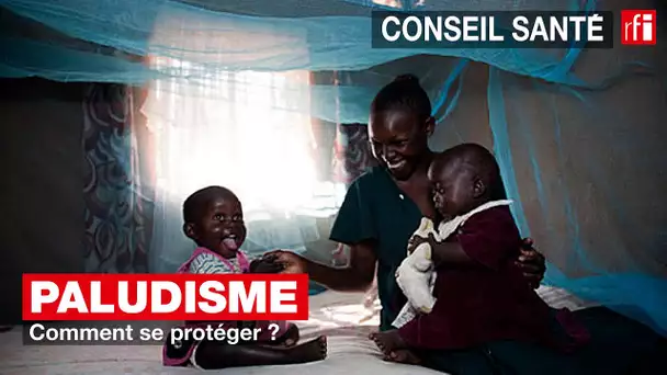 Paludisme : comment se protéger ?