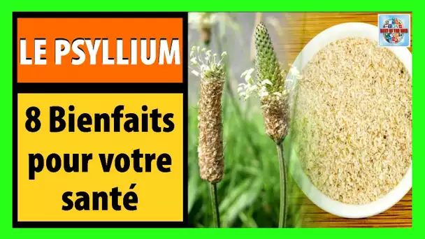 8 bienfaits du psyllium pour votre santé