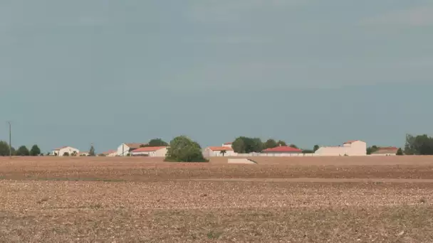 Polémique autour du projet d'éoliennes à Saint-Médard-d'Aunis