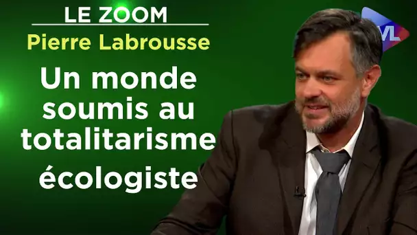Vision d’un monde soumis au totalitarisme écologiste - Le Zoom - Pierre Labrousse - TVL