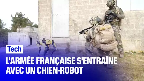 L'armée française s'entraîne avec un chien-robot