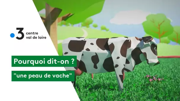 Pourquoi dit-on : une peau de vache !