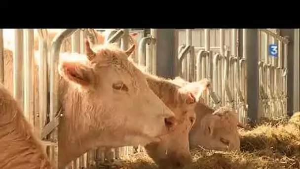 En Ardèche, la sécheresse a fait des dégâts chez les agriculteurs