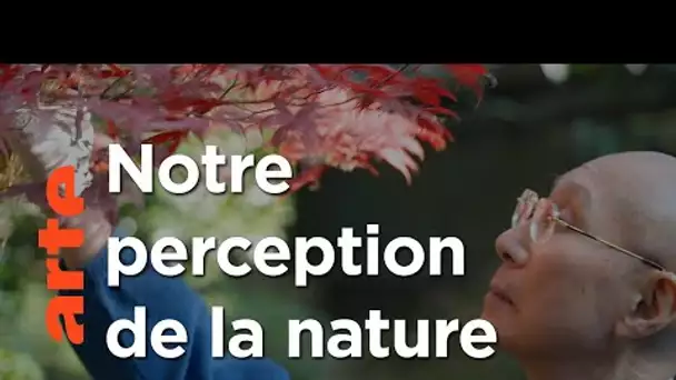 Nature et civilisation | La nature, l’art et nous (2/3) | ARTE