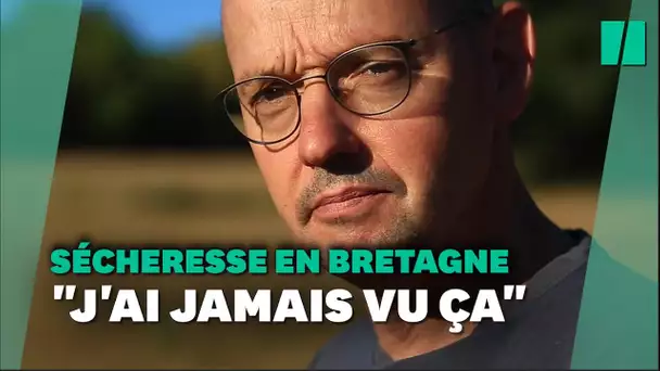 « J’ai jamais vu ça », comment cet éleveur Breton tente de faire face à la sécheresse