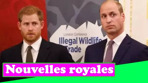 Diana `` pensait qu'Harry pouvait faire face à n'importe quoi '' alors que William était `` sensible