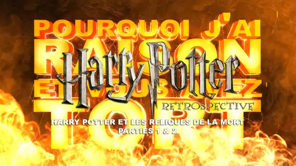 PJREVAT - Harry Potter Retrospective : David Yates 2 (4/4)