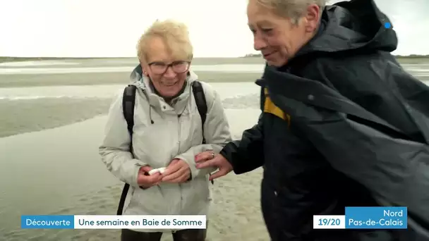 La Baie de Somme, épisode 1