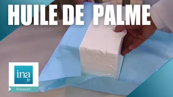 Les dangers de l'huile de palme | Archive INA