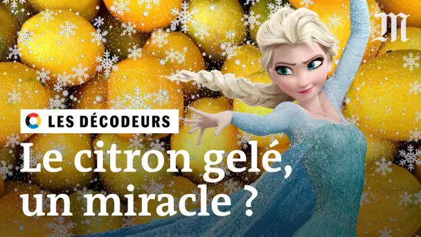 Un citron congelé peut-il guérir le cancer ? #LesDécodeurs