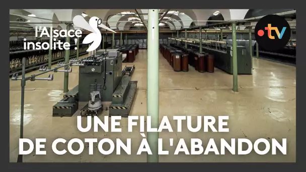 Insolite : une immense filature de coton du 19ᵉ siècle à l'abandon