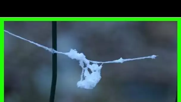 France: Les étranges filaments tombés du ciel angevin seraient dangereux pour la santé
