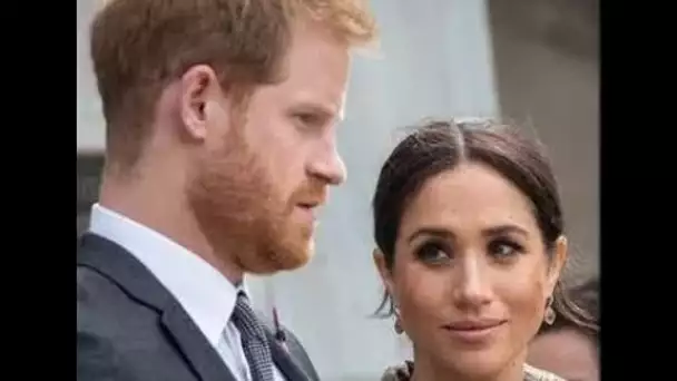 Sabre cliquetis' Meghan et Harry soutenus pour avoir un 'rôle tacite' dans le nouveau livre de la bo