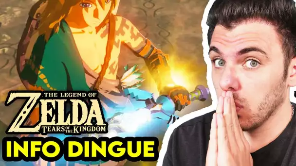 Zelda TOTK / BOTW 2 INFOS DINGUE 💥 LES DONJONS 😍