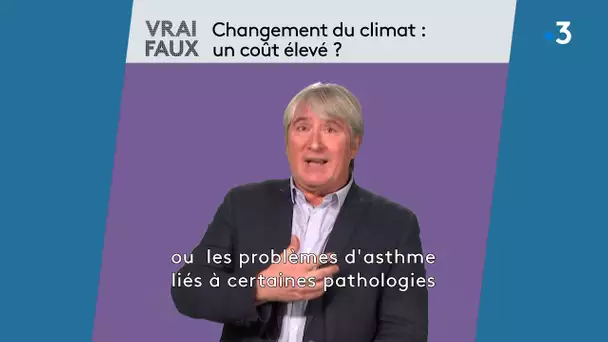 Vrai / Faux :  changement du climat, un coût élevé ? Stéphane Costa répond à nos questions