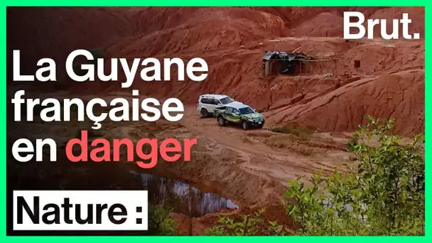 Les conséquences de l&#039;orpaillage en Guyane française