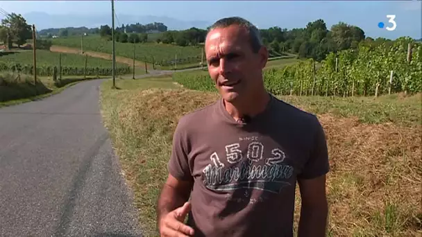 Béarn : Stéphane Augé en repérage avant le contre-la-montre Jurançon-Pau de la Vuelta