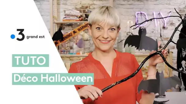Tuto décoration d'Halloween : fabriquer d'effrayantes chauves-souris en papier
