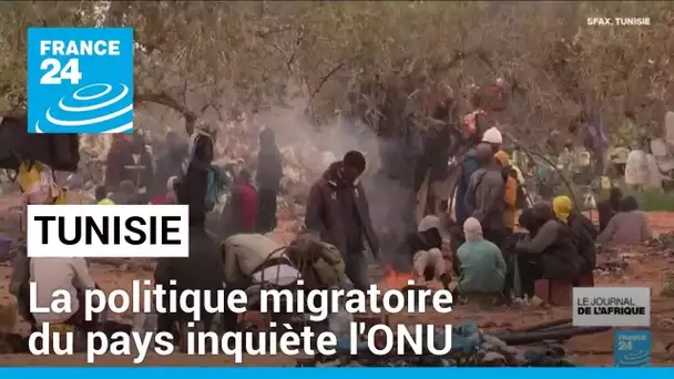Migrants en Tunisie : la politique migratoire inquiète l'ONU • FRANCE 24