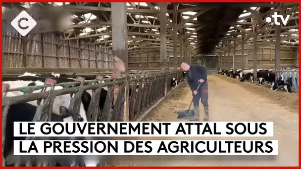 Agriculteurs : les raisons de la colère - L’Édito - C à vous - 22/01/2024