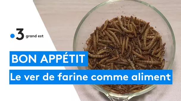 De la farine de ver bientôt commercialisée en France