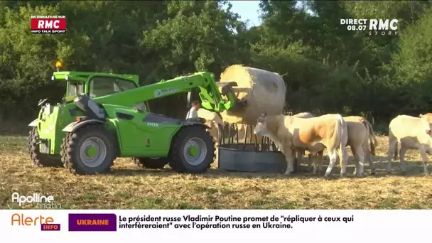 Dans l'Allier et dans l'Ain, des agriculteurs bloquent des centrales d'achat