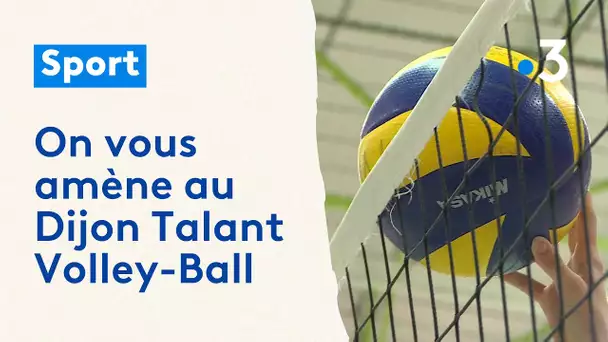 En immersion au Dijon Talant Volley-Ball