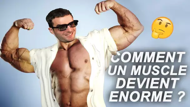 COMMENT UN MUSCLE DEVIENT ÉNORME ? Vrai ou Faux #74